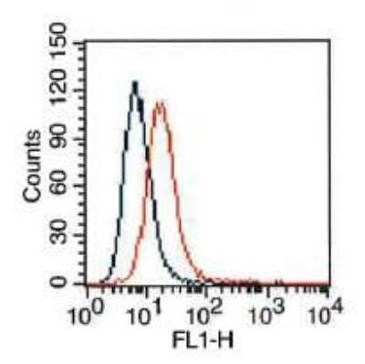 Flow (Cell Surface): VEGFR2/KDR/Flk-1 Antibody (2C6) - Azide and BSA Free [NBP2-81009] - HepG2 cells were stained (surface) with antibody (orange) or isotype control, mouse IgG1 (blue). Positive staining observed using FITC conjugated mouse anti-IgG(H+L) secondary antibody. Live cells (PPI negative) were gated for analysis Image from the standard format of this antibody.