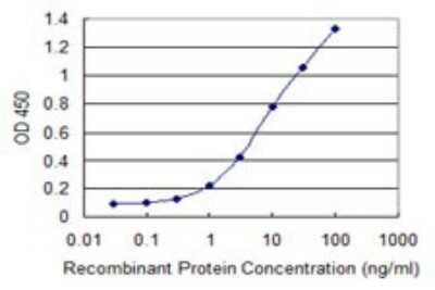 Sandwich ELISA: VGLL1 Antibody (3C7) [H00051442-M01] - Detection limit for recombinant GST tagged VGLL1 is 0.1 ng/ml as a capture antibody.
