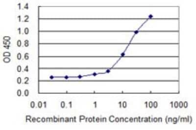 Sandwich ELISA: VHR/DUSP3 Antibody (2C4) [H00001845-M07] - Detection limit for recombinant GST tagged DUSP3 is 0.3 ng/ml as a capture antibody.