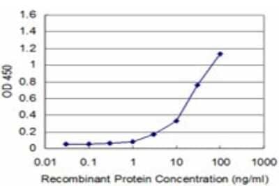 Sandwich ELISA: VHR/DUSP3 Antibody (5B7) [H00001845-M01] - Detection limit for recombinant GST tagged DUSP3 is approximately 1ng/ml as a capture antibody.