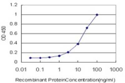 Sandwich ELISA: Vav-1 Antibody (1A6) [H00007409-M02] - Detection limit for recombinant GST tagged VAV1 is approximately 0.3ng/ml as a capture antibody.