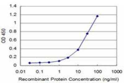 ELISA: Vav-1 Antibody (3A11) [H00007409-M04] - Detection limit for recombinant GST tagged VAV1 is approximately 1ng/ml as a capture antibody.