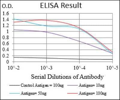 ELISA: Villin 1 Antibody (3E5G11) [NBP2-52585] - Black line: Control Antigen (100 ng); Purple line: Antigen(10ng); Blue line: Antigen (50 ng); Red line: Antigen (100 ng).