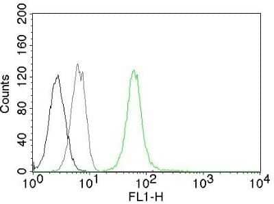 Flow Cytometry: Vimentin Antibody (VM452) - Azide and BSA Free [NBP2-33060] - Flow Cytometry of human Vimentin on Jurkat cells. Black: cells alone; Grey: Isotype Control; Green: AF488-labeled Vimentin Antibody (VM452).