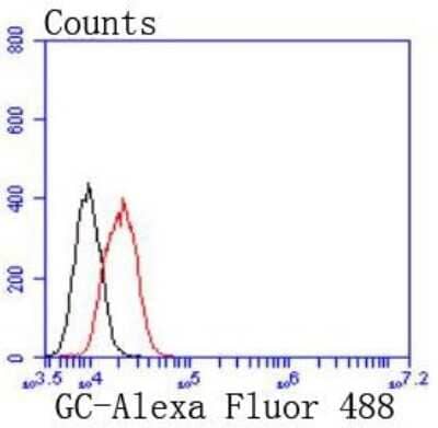 Flow Cytometry: Vitamin D BP Antibody (JM10-36) [NBP2-66786] - Analysis of HepG2 cells with DBP antibody at 1/50 dilution (red) compared with an unlabelled control (cells without incubation with primary antibody; black). Alexa Fluor 488-conjugated goat anti rabbit IgG was used as the secondary antibody.