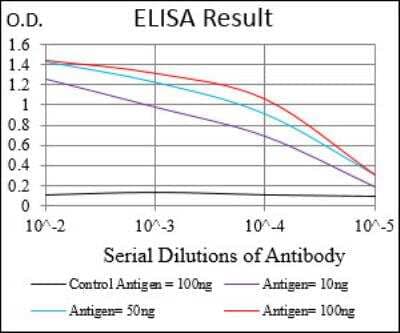 ELISA: WASP Antibody (7B10E4) [NBP2-52587] - Black line: Control Antigen (100 ng); Purple line: Antigen(10ng); Blue line: Antigen (50 ng); Red line: Antigen (100 ng).