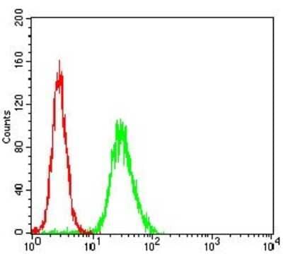 Flow Cytometry: WASP Antibody (7B10E4) [NBP2-52587] - Analysis of Hela cells using WAS mouse mAb (green) and negative control (red).