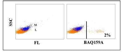 Flow Cytometry: WC1(+) gamma delta T cell Antibody (BAQ159A) [NBP2-61085] - Obtained with bovine leukocytes