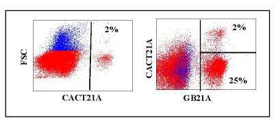 Flow Cytometry: WC1(+) gamma delta T cell Antibody (CACT21A) [NBP2-61083] - Obtained with bovine leukocytes. GB21A recognizes TCR1-delta chain. CACT21A recognizes a subset of WC1+ gamma-delta T cells.