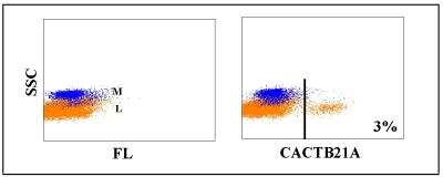 Flow Cytometry: WC1(+) gamma delta T cell Antibody (CACTB21A) [NBP2-61081] - Obtained with bovine leukocytes