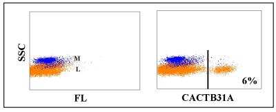 Flow Cytometry: WC1(+) gamma delta T cell Antibody (CACTB31A) [NBP2-61082] - Obtained with bovine leukocytes