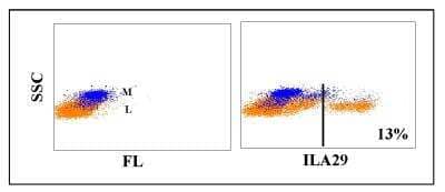 Flow Cytometry: WC1(+) gamma delta T cell Antibody (ILA29) [NBP2-61084] - Obtained with bovine leukocytes