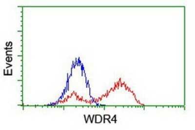 Flow Cytometry: WDR4 Antibody (OTI4G1) - Azide and BSA Free [NBP2-74865] - HEK293T cells transfected with either overexpression plasmid (Red) or empty vector control plasmid (Blue) were immunostaining by anti-WDR4 antibody, and then analyzed by flow cytometry.