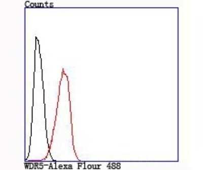 Flow Cytometry: WDR5 Antibody (JM73-53) [NBP2-75711] - Analysis of Hela cells with WDR5 antibody at 1/100 dilution (red) compared with an unlabelled control (cells without incubation with primary antibody; black).