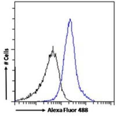 Flow Cytometry: WISP-1/CCN4 Antibody [NB100-77339] - Flow cytometric analysis of paraformaldehyde fixed A431 cells (blue line), permeabilized with 0.5% Triton. Primary incubation 1hr (10ug/ml) followed by Alexa Fluor 488 secondary antibody (1ug/ml). IgG control: Unimmunized goat IgG (black line) followed by Alexa Fluor 488 secondary antibody.