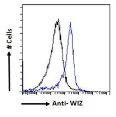 Flow Cytometry: WIZ Antibody [NBP1-21059] - Paraformaldehyde fixed HeLa cells (blue line), permeabilized with 0.5% Triton. Antibody at 10 ug/mL. Primary incubation 1hr followed by Alexa Fluor 488 secondary antibody at 1 ug/mL. IgG control: Unimmunized goat IgG (black line) followed by Alexa Fluor 488 secondary antibody.