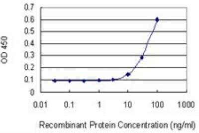 ELISA: Wnt-5a Antibody (3A4) [H00007474-M04] - Detection limit for recombinant GST tagged WNT5A is 3 ng/ml as a capture antibody.