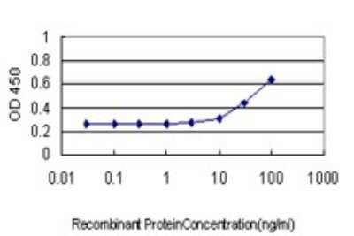 Sandwich ELISA XAB1 Antibody (3E1) - Azide and BSA Free