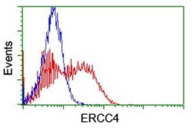 Flow Cytometry: XPF Antibody (3H7) [NBP2-45503] - Analysis of HEK293T cells transfected with either overexpress plasmid(Red) or empty vector control plasmid(Blue) were immunostained by ERCC4 antibody.