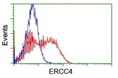 Flow Cytometry: XPF Antibody (OTI3H7) - Azide and BSA Free [NBP2-74882] - Analysis of HEK293T cells transfected with either overexpress plasmid(Red) or empty vector control plasmid(Blue) were immunostaining by ERCC4 antibody.