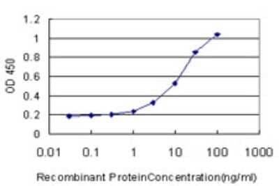 Sandwich ELISA: XRCC6BP1 Antibody (1G6) [H00091419-M01] - Detection limit for recombinant GST tagged XRCC6BP1 is approximately 1ng/ml as a capture antibody.
