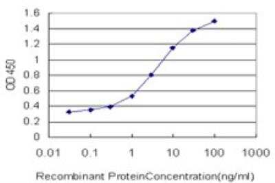 ELISA: YAP1 Antibody (2C2) - Isoform 5 [H00010413-M02] - YAP1 Antibody (2C2) [H00010413-M02] - Detection limit for recombinant GST tagged YAP1 protein is approximately 0.03 ng/ml. Antibody dilution for YAP1 antibody (2C2)-isoform 5 is 10ug/ml in coating buffer, the volume should be 100 ul/well.