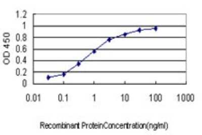 Sandwich ELISA: YY1 Antibody (2C4) [H00007528-M01] - Detection limit for recombinant GST tagged YY1 is approximately 0.03ng/ml as a capture antibody.