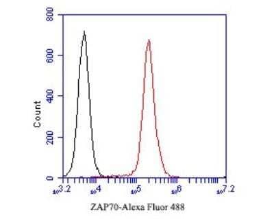 Flow Cytometry: ZAP70 Antibody (A1B5) [NBP2-89121] - Analysis of ZAP70 was done on Jurakt cells. The cells were fixed, permeabilized and stained with the primary antibody( 1/50) (red). After incubation of the primary antibody at room temperature for an hour, the cells were stained with a Alexa Fluor 488-conjugated Goat anti-Mouse IgG Secondary antibody at 1/1000 dilution for 30 minutes.Unlabelled sample was used as a control (cells without incubation with primary antibody; black).