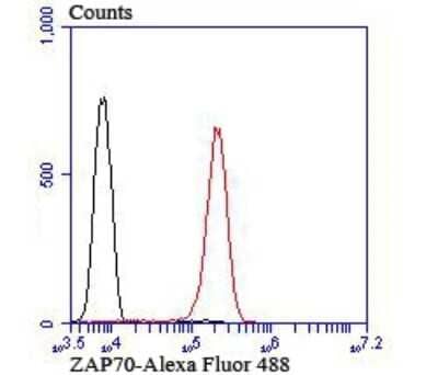 Flow Cytometry: ZAP70 Antibody (JU08-39) [NBP2-75719] - Analysis of Jurkat cells with ZAP70 antibody at 1/100 dilution (red) compared with an unlabelled control (cells without incubation with primary antibody; black). Alexa Fluor® 488-conjugated goat anti-rabbit IgG was used as the secondary antibody.