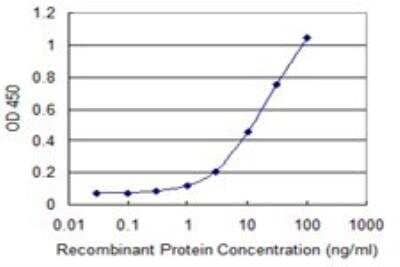 ELISA: ZBP1/DLM-1/DAI Antibody (2C10) [H00081030-M01] - Detection limit for recombinant GST tagged ZBP1 is 0.3 ng/ml as a capture antibody.