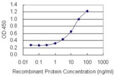 Sandwich ELISA: ZBTB20 Antibody (1F3) [H00026137-M01] - Detection limit for recombinant GST tagged ZBTB20 is 0.3 ng/ml as a capture antibody.