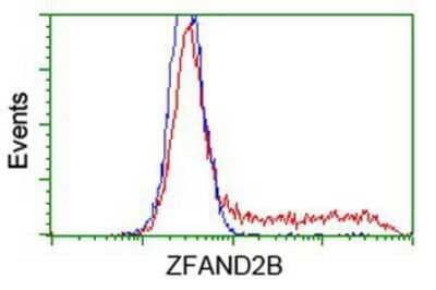Flow Cytometry: ZFAND2B Antibody (1G10) [NBP2-03636] - HEK293T cells transfected with either overexpression plasmid (Red) or empty vector control plasmid (Blue) were immunostained by anti-ZFAND2B antibody, and then analyzed by flow cytometry.
