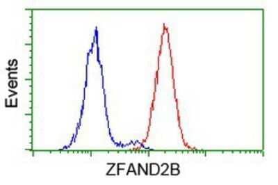 Flow Cytometry: ZFAND2B Antibody (OTI1G10) - Azide and BSA Free [NBP2-74917] - Analysis of Hela cells, using anti-ZFAND2B antibody, (Red), compared to a nonspecific negative control antibody (Blue).