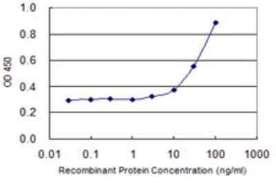 Sandwich ELISA ZFHX4 Antibody (2B12) - Azide and BSA Free
