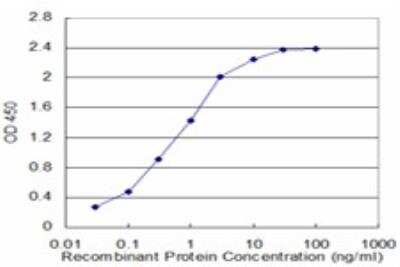 ELISA: ZFHX4 Antibody (5E6) [H00079776-M02] - Detection limit for recombinant GST tagged ZFHX4 is approximately 0.1ng/ml as a capture antibody.