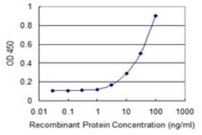 Sandwich ELISA: ZFYVE16 Antibody (2E2) [H00009765-M04] - Detection limit for recombinant GST tagged ZFYVE16 is 1 ng/ml as a capture antibody.