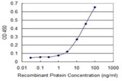 Sandwich ELISA ZFYVE19 Antibody (3G4-2B11) - Azide and BSA Free