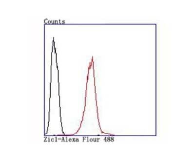 Flow Cytometry: ZIC1 Antibody (JA31-60) [NBP2-66791] - Flow cytometric analysis of SH-SY5Y cells with ZIC1 antibody at 1/100 dilution (red) compared with an unlabeled control (cells without incubation with primary antibody; black).