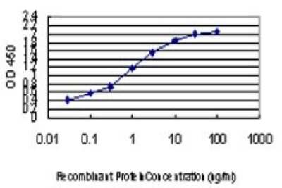 Sandwich ELISA: ZIC4 Antibody (2C2) [H00084107-M07] - Detection limit for recombinant GST tagged ZIC4 is approximately 0.03ng/ml as a capture antibody.