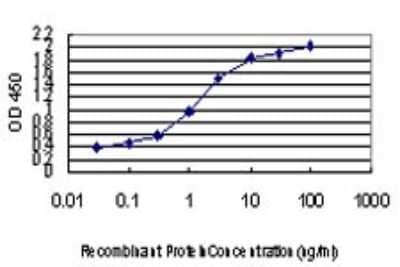 Sandwich ELISA: ZIC4 Antibody (3A2) [H00084107-M09] - Detection limit for recombinant GST tagged ZIC4 is approximately 0.03ng/ml as a capture antibody.