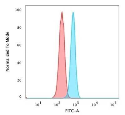 Flow Cytometry: ZMYM3 Antibody (PCRP-ZMYM3-2F10) [NBP3-08875] - Flow Cytometric Analysis of PFA-fixed HeLa cells. ZMYM3 Mouse Monoclonal Antibody (PCRP-ZMYM3-2F10) followed by goat anti- Mouse IgG-CF488 (blue); unstained cells (red).