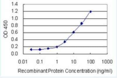 ELISA: ZNF134 Antibody (2D10) [H00007693-M03-100ug] - Detection limit for recombinant GST tagged ZNF134 is 0.1 ng/ml as a capture antibody.