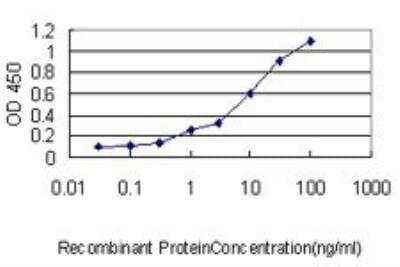 ELISA: ZNF143 Antibody (2B4) [H00007702-M01] - Detection limit for recombinant GST tagged ZNF143 is approximately 0.1ng/ml as a capture antibody.