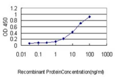 Sandwich ELISA: ZNF143 Antibody (3A7) [H00007702-M02] - Detection limit for recombinant GST tagged ZNF143 is approximately 0.3ng/ml as a capture antibody.