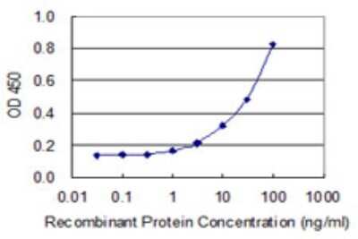 Sandwich ELISA: ZNF155 Antibody (2F11) [H00007711-M01] - Detection limit for recombinant GST tagged ZNF155 is 0.3 ng/ml as a capture antibody.