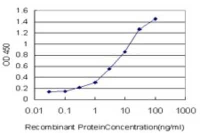 Sandwich ELISA ZNF174 Antibody (2D7-E9)