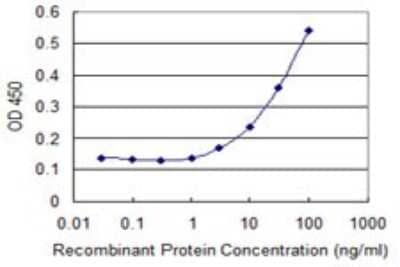 Sandwich ELISA: ZNF18 Antibody (2A4) [H00007566-M01] - Detection limit for recombinant GST tagged ZNF18 is 1 ng/ml as a capture antibody.