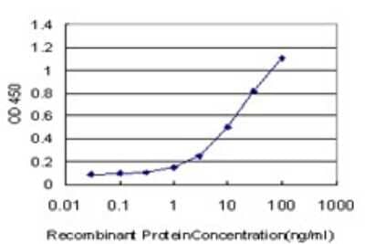 Sandwich ELISA: ZNF24 Antibody (2G5) [H00007572-M02] - Detection limit for recombinant GST tagged ZNF24 is approximately 0.3ng/ml as a capture antibody.