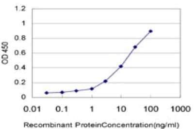 Sandwich ELISA: ZNF24 Antibody (4C2) [H00007572-M03] - Detection limit for recombinant GST tagged ZNF24 is approximately 0.3ng/ml as a capture antibody.