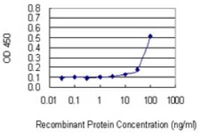 Sandwich ELISA: ZNF253 Antibody (1D7) [H00056242-M02] - Detection limit for recombinant GST tagged ZNF253 is 3 ng/ml as a capture antibody.